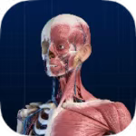 人体解刨图集1.0.2解刨大全|内置高清图片介绍