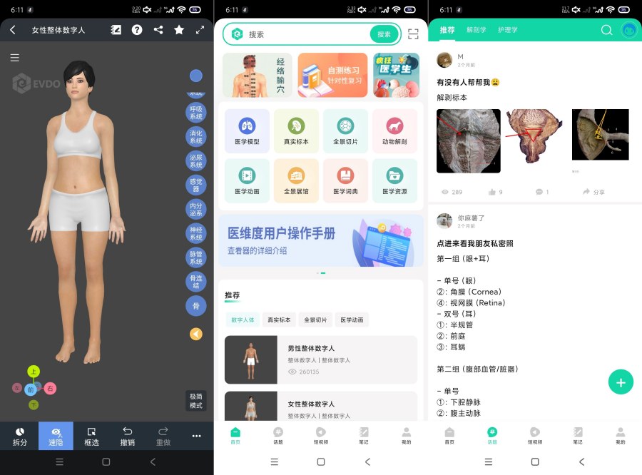 医维度解剖3.3.21一键解刨|医学知识|一键脱衣等